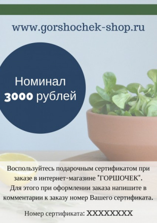 Сертификат на 3000 руб